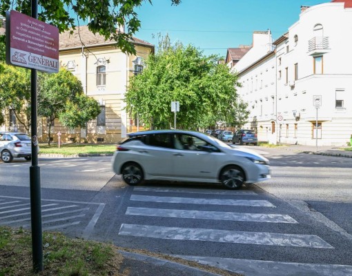 Okoszebra Alsóvároson: ez már a negyedik Szegeden