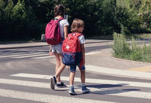 Lezárult a 2025-ös okoszebra-szavazás, kiderült, melyik településen létesül okoszebra