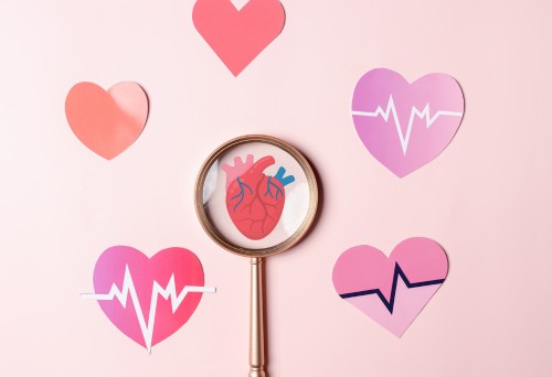 Szívbarát életmód: tippek a szív- és érrendszeri betegségek megelőzéséhez